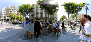 French dogs at Casa Mila