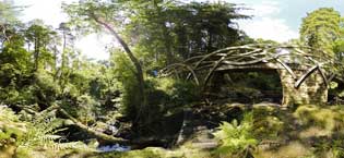 Hareshaw Linn