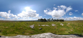 bellingham hills